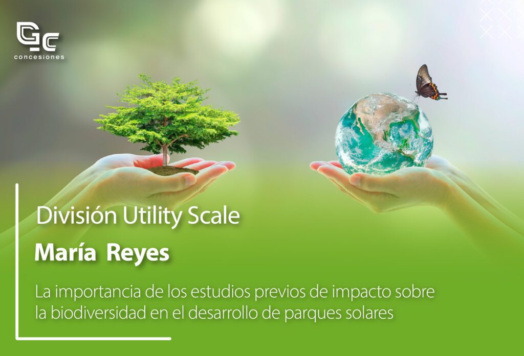 Estudios de impacto sobre la biodiversidad en los parques solares